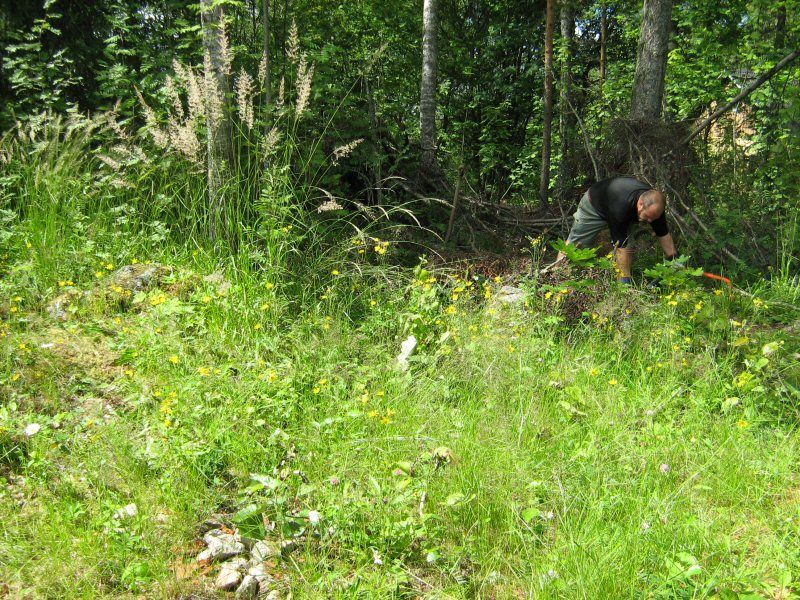 Storrensning av ris och grenar