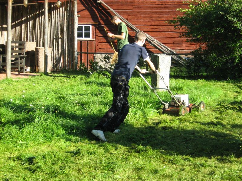 David och Daniel frsker ta sig igenom jungeln